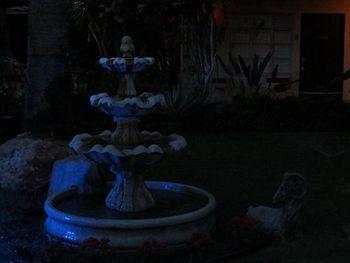 Desert Paradise Resort - Gay Men'S Resort Palm Springs Exterior foto